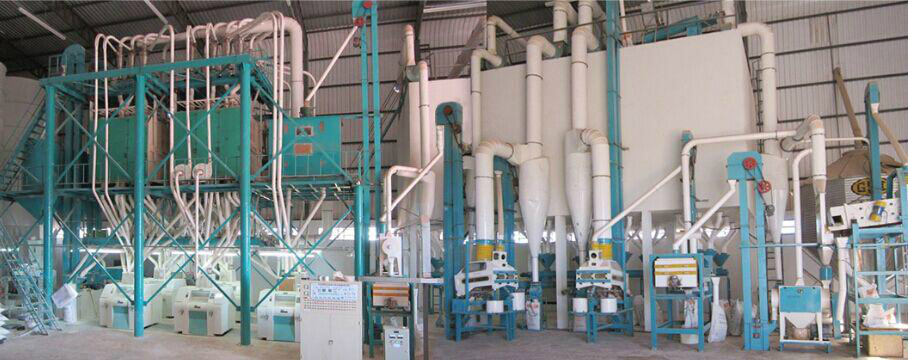 Why Maize Processing Line Develop So Quickly