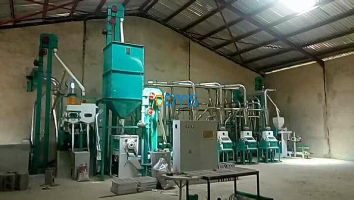 Congrat: 30t maize flour mill in Nigeria  